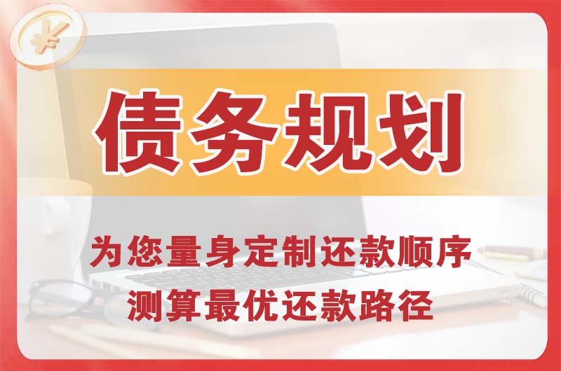 嘉善债务规划